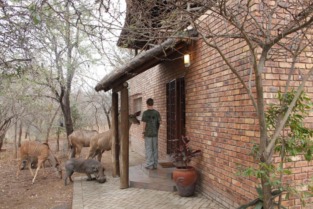 Hakuna Matata Marloth Park Εξωτερικό φωτογραφία